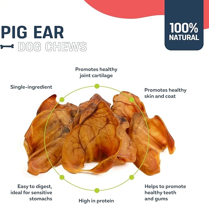 Big Lu – Whole Pig Ears for Dogs, Bulk 30 Count, All-Natural Single-Ingredient Pork Treats for Medium and Large Dogs, Easily Digestible, Supports Joint Health with Glucosamine and Chondroitin