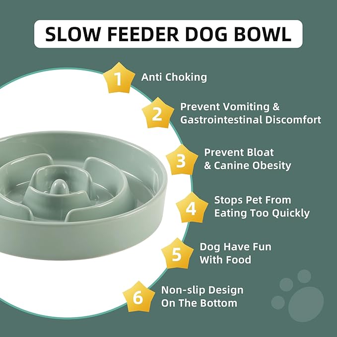 Ceramic 1.6 Cup Slow Feeder Dog Bowl for Medium and Large Breed, 8.2inch Puzzle Dog Food Dish, Anti-Gulping, Stop Bloat, Preventing Choking (Single Bowl-Light Green)