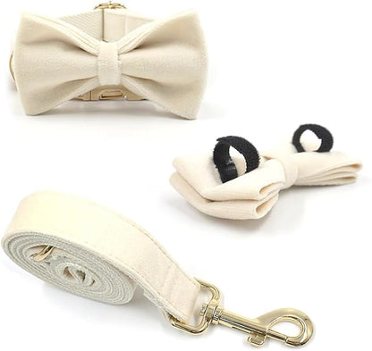 Personalized Velvet Dog Collars with Pet Name Phone Number Engraved, Custom Adjustable Soft Collar with Metal Buckle for Small Medium Large Dogs, Dog Leash and Bow Tie Available -Cream