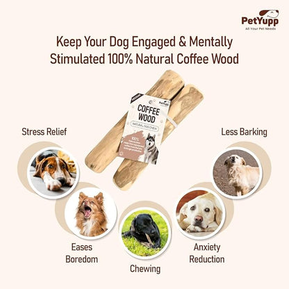 Natural Coffee Wood Dog Chew Medium, 2 Count - Promotes Dental Health, Reduces Tartar & Chewing Exercise for Aggressive Chewers, Small, Medium & Large Dogs - Safe Chew Toy for Puppy
