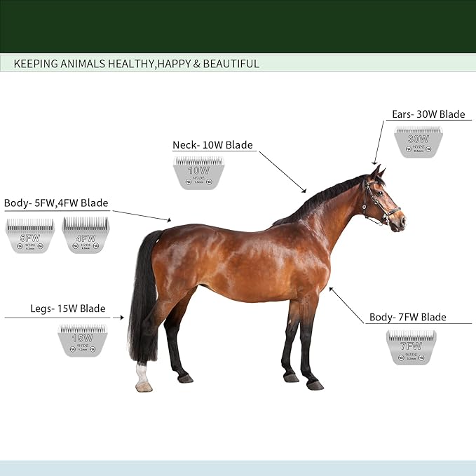 3 Pack 4 Wide Blades for Dog Grooming,Compatible with Andis,Oster A5,Wahl km10 Clippers,Cutting Length 3/8"