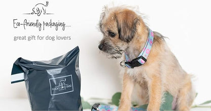 Lucky Love Dog, Boho Chic Matching Dog Collar and Leash Set, Vivid Pink and Turquoise Collar and Leash for Dogs, Soft, Adjustable, Safe for Training and Walking - (Large, Clara Combo)