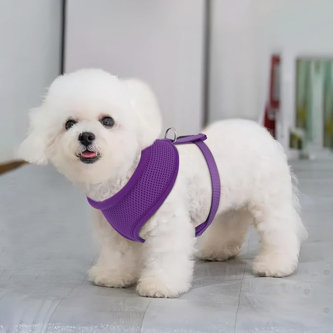 MoNiBloom Dog Harness for Small Sized Dog, Soft Puppy Padded Vest for Walking, Running, Training - Purple, XS
