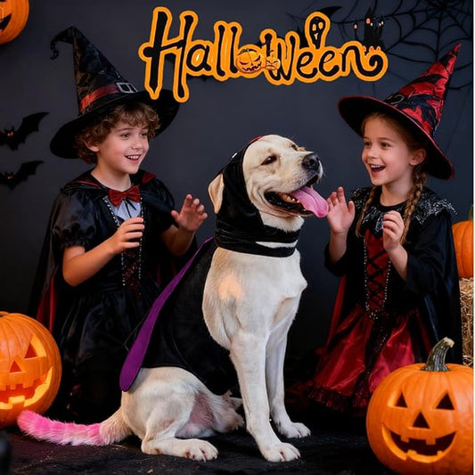 Dog Halloween Vampire Devil Cloak Cape, Red Black Classic Pet Costume for Small Medium Large Dogs, Holiday Cosplay Special Events (Mosquito-Purple, B4)