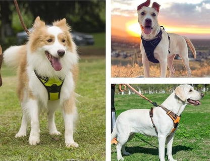 PawSafety No Pull Dog Harness
