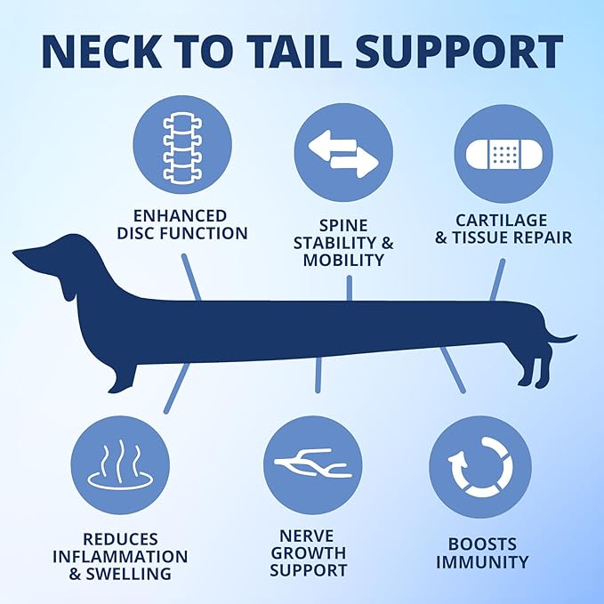 Under the Weather Disc & Spine Health Powder for Dogs | Spinal Disc Support | Vet Formulated Dog Joint Supplement for Long-Backed Breeds | IVDD Dog Supplies | Chicken Flavor Packets - 30 Day Supply L