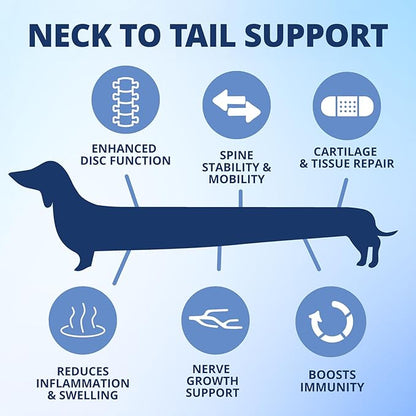 Under the Weather Disc & Spine Health Powder for Dogs | Spinal Disc Support | Vet Formulated Dog Joint Supplement for Long-Backed Breeds | IVDD Dog Supplies | Chicken Flavor Packets - 30 Day Supply M