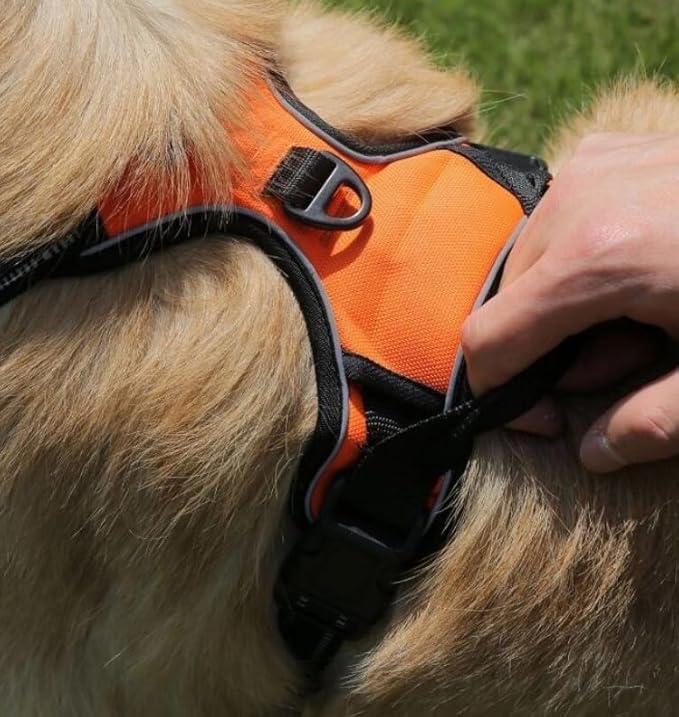 PawSafety No Pull Dog Harness
