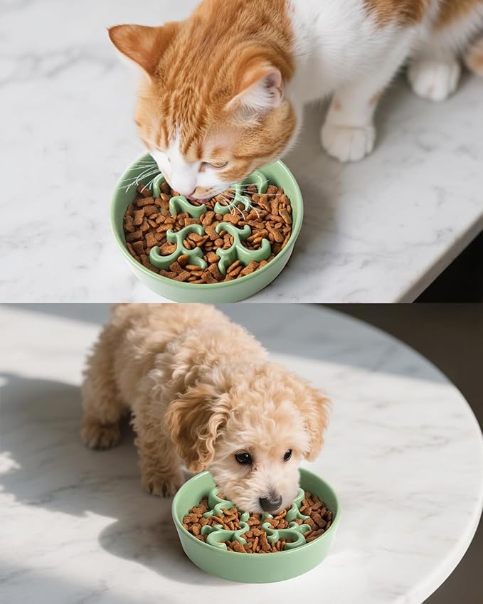 Slow Feeder Dog Bowl, 0.6 Cups Ceramic Dog Food Dish for Fast Eaters Small Breed, Puzzle Bowl for Small Dogs and Cats(Green)