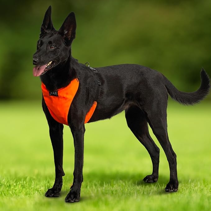 YAP Techno® No Pull Dog Harness, 4-Way Adjustable, Temperature Controlled Pet Vest Harness, Chokefree Dog Harness with Easy Control Handle for All Breeds; 30-55 lbs (Signal Orange, Medium-Wide)