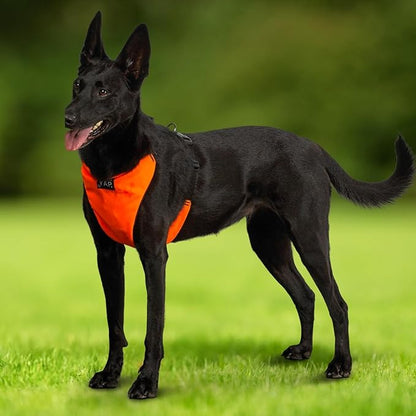 YAP Techno® No Pull Dog Harness, 4-Way Adjustable, Temperature Controlled Pet Vest Harness, Chokefree Dog Harness with Easy Control Handle for All Breeds; 30-55 lbs (Signal Orange, Medium-Wide)