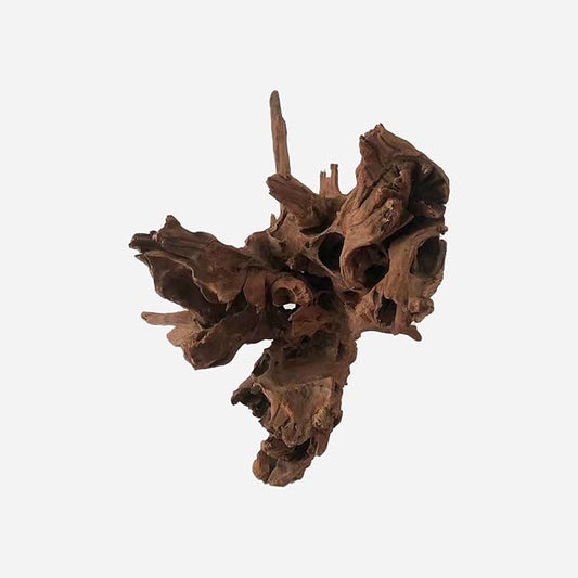 LYPHARD AQUARIUMS Natural Driftwood for Aquarium Decor, L14.57×W16.54×H14.96 Inches Large Drift Wood Decorations for Reptile Hide, Fish Tank, Optional Shapes