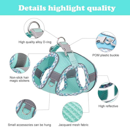Dog Harness and Leash Set, No Pull Adjustable Reflective Pet Harness for Small Medium Dogs, Step in Vest Harness Easy Walk Dog Harness Outdoor Hiking Training for Small Dogs, Cats(Green, XS)