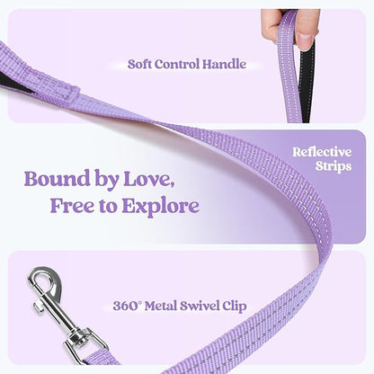 rabbitgoo Dog Harness Small Sized and Leash Set, Step in Soft Light Puppy Vest, Breathable Mesh Pet Harness, Reflective for Safe Easy Walking, Light Purple XS