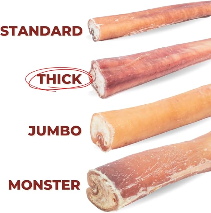 Bully Bunches Premium 6 Inch Thick Odor-Free Bully Sticks for Small & Medium Dogs - Long Lasting Chews for Oral Care- All Natural & Single Ingredient, 100% Beef Dog Treat, Rawhide Free (20 Pk)