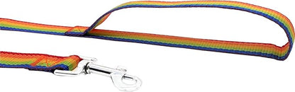 Nylon Training Dog Leash for Small Medium Large Dogs, 15ft 20ft 30ft 50ft Long Leash Dog/Puppy Lead for Obedience Recall Training, Camping (15ft, Rainbow)