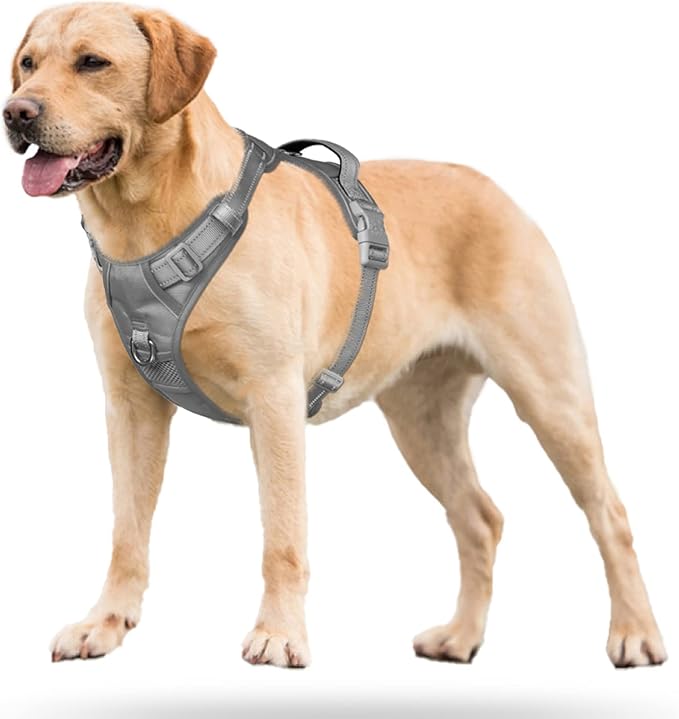 PoyPet No Pull Dog Harness, No Choke Reflective Dog Vest, Adjustable Pet Harnesses with 2 Leash Attachments with Easy Control Padded Handle for Small Medium Large Dogs(Gray,S)