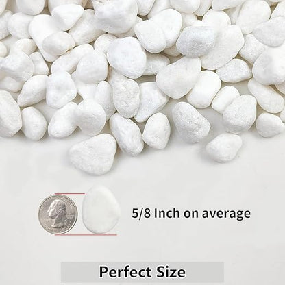 20lb White River Rocks for Landscaping, 5/8 Inch Natural Pebbles for Indoor Plants, Snow White Decorative Stones, Ideal for Fish Tank, Vases, Crafting, Home Decor and Garden Rocks