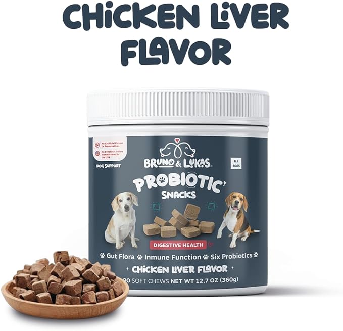 Allergy Relief & Probiotic Chews for Dogs – Immune, Gut & Digestive Health Supplement – Seasonal Allergy, Itching & Yeast Support with Skin & Coat Benefits – Dog Treats with Probiotics (90 Chews)