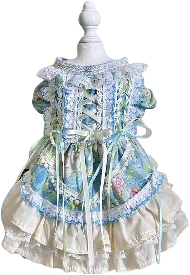 Fashion Sweet Puppy Dog Lace Princess Dress for EXTRAL Small and Small Dog B-Blue X-Small