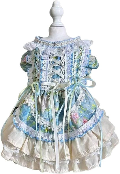 Fashion Sweet Puppy Dog Lace Princess Dress for EXTRAL Small and Small Dog B-Blue X-Small