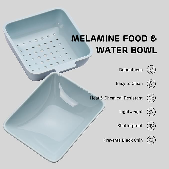 iPettie FW54 5G/2.4GHz WiFi Automatic Feeder and Waterer 2-in-1 Set for Pets, 300 oz Large Capacity for 2 Weeks, Perfect for Working Parents