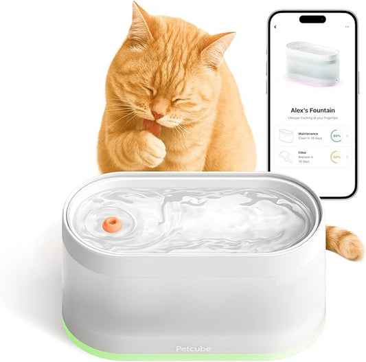 Petcube Pet Water Fountain | Automatic Wireless Water Fountain for Cats and Dogs with Ceramic Bowl, Easy to Clean, 4-Layer Filtration, in-App Filter Control, LED Light, Quiet Pump, Battery Operated