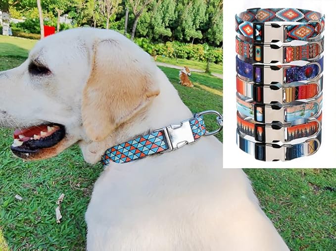 Dog Collar and Leash Set, Quick Release Buckle Soft Durable Print Puppy Collars Adjustable for Small Medium Large Pet Male Dogs Boy Cat Rainbow M