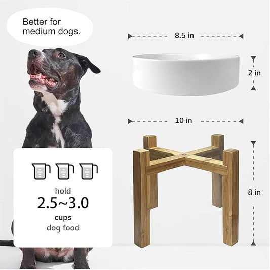 Slow Feeder,Ceramic-Slow Feeder Dog Bowls Elevated for Medium and Large Breed,2.5 Cups Slow Feed Dog Bowl with Stand,White