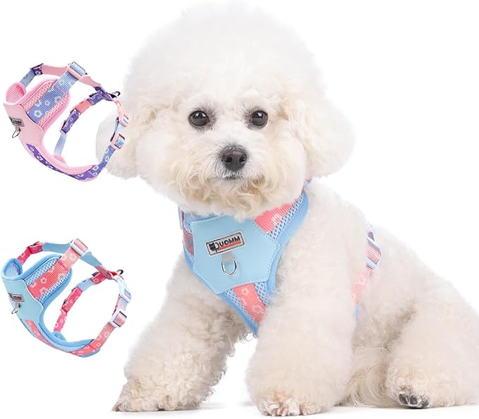 Small Durable Dog Harness with Leash Set, Cute Mesh Puppy Harness, No Pull No Choke Escape Proof Pet Harness Easy Walking, Blue Crush S