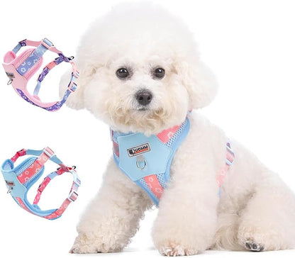 Small Durable Dog Harness with Leash Set, Cute Mesh Puppy Harness, No Pull No Choke Escape Proof Pet Harness Easy Walking, Blue Crush S