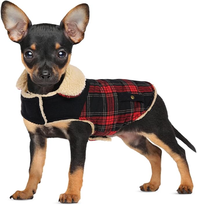 Winter Coat for Small and Medium Dogs, Puppy Plaid Jacket, Cotton Coat for Cold Weather, Windproof Warm Dog Garments, Pet Thickened Outfits Indoor Outdoor, Red S
