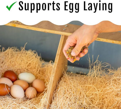 Buff Clucks Herb Supplement for Backyard Chickens - Natural Chicken Treats, Poultry Feed Botanical Mix, Plant-Based Coop Snacks for Daily Wellness, Feather Quality, Egg Production, USA (5 LB)