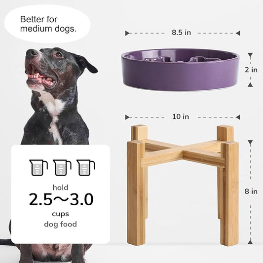 Slow Feeder,Ceramic-Slow Feeder Dog Bowls Elevated for Medium and Large Breed,2.5 Cups Slow Feed Dog Bowl with Stand,Purple