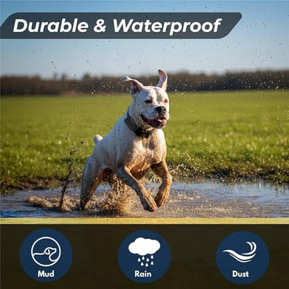 Educator FT-330 Finger Trainer E Collar for Dog Training with Remote - 1/2 Mile Range, Waterproof, 100 Stimulation Levels, Tone or Vibration Mode, Night Light Tracking for Small, Medium & Large Dogs