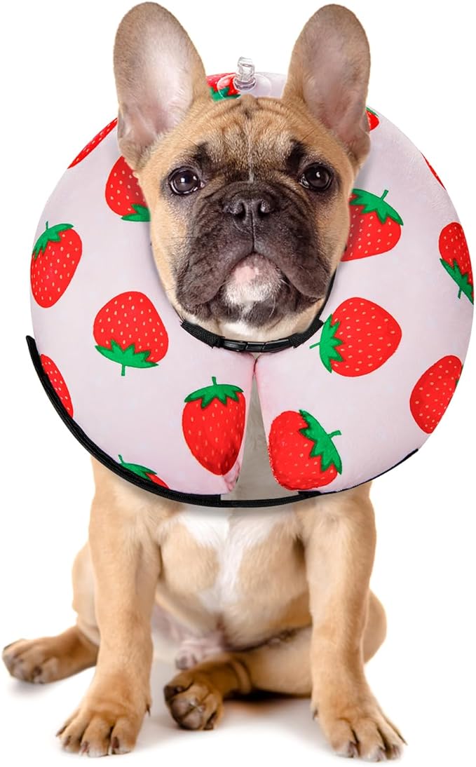 MIDOG Inflatable Dog Cone Alternative for After Surgery - Soft Protective Donut Collar Prevents Licking, Comfortable Recovery E-Collar Alternative for Small Medium Large Dogs (Strawberry,M)