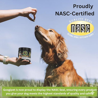 Googipet Premium Dog Multivitamin Chewable, Dog Vitamins and Supplements, Puppy Vitamins & Senior Dogs Probiotics for Gut Health + Vitamin C, Glucosamine for Dogs Joint Support (PB & Pumpkin Flavor)