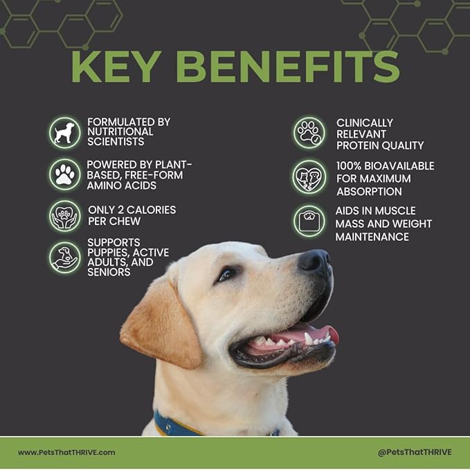 Thrive Daily Amino Acids for Dogs – Muscle Health, Recovery, Energy & Longevity – Supports Joints, Skin & Coat – Peanut Butter Soft Chews, 30 Count (4.8oz)