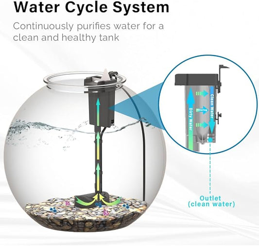 SW PRODUCTS 3-Gallon Aquarium Starter Kit, Ideal for Betta Fish and Other Tropical Fish, Includes Power Filter, LED Light, Hood, and Illustrated User Set Up Guide, Impact-Resistant Plastic