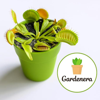 Gardenera Sphagnum Moss Potting Mix for Carnivorous Plants, Moss and Perlite Blend for Potting Venus Fly Traps, Sarracenia, Pitcher Plants - 75% Sphagnum Moss + 25% Perlite - Made in USA - 1 Quart