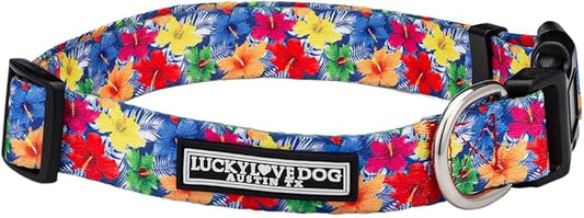 Lucky Love Dog - Easy Click Buckle Dog Collar with Leash Set Combo, Durable & Comfortable for Male & Female Dogs, Pet Collar for Small to Large Dogs, Secure Fit - Hana Combo, Small