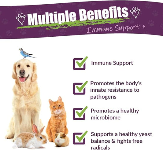 Amber NaturalZ Vibactra Plus Herbal Supplement for Dogs, Cats, Birds, Guinea Pigs, and Rabbits | Herbs for Immune Health and Yeast Balance | 1 Fluid Ounce Glass Bottle