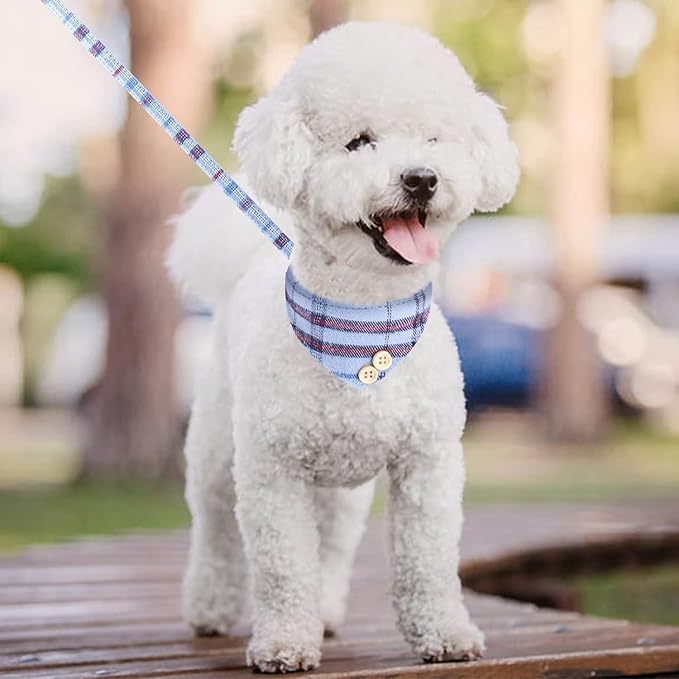 KOOLTAIL Small Dog Collar and Leash Set with Bowtie and Bells - Puppy Collar and Leash for Male with Classic Plaid Matching Pattern, Soft Leather Tangle Free Leashes for Small Dogs Boys Girls, Blue