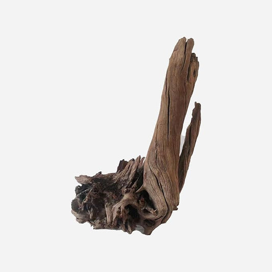 LYPHARD AQUARIUMS Natural Driftwood for Aquarium Decor, L12.2×W9.45×H19.69 Inches Large Drift Wood Decorations for Reptile Hide, Fish Tank, Optional Shapes