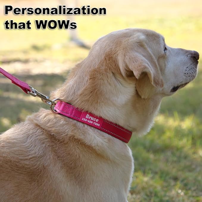 Personalized Dog Collars Custom with Pet Name and Phone Number, Soft Neoprene Padded Reflective Nylon Collar, 4 Adjustable Sizes - for Boy, Girl Dogs