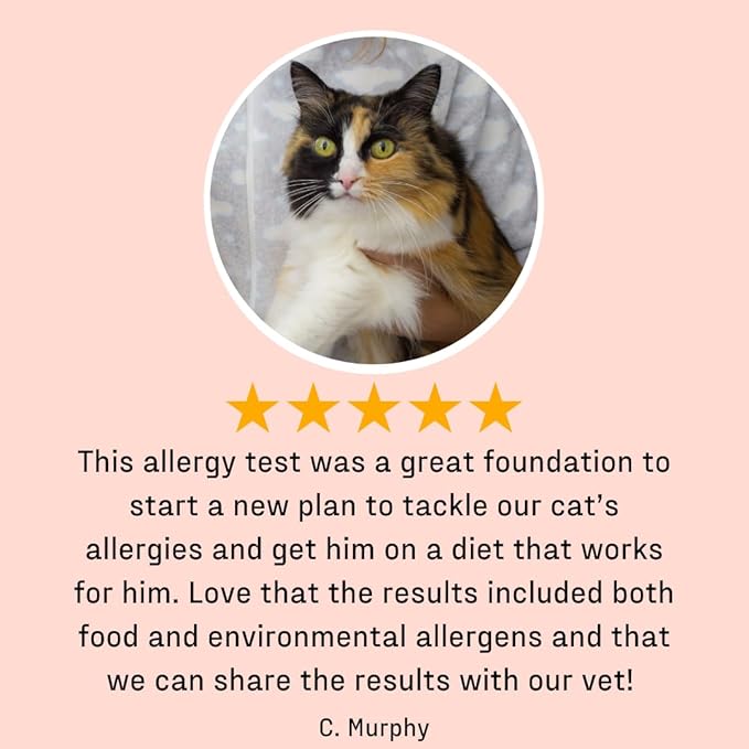 DNA MY DOG – Cat Allergy Test | Vet Recommended Test for Itchy, Sensitive Cats | Easy-to-Use Kit | Non-Invasive Cheek Swab not a Fur Test | Scientifically Valid | Includes Personalized Allergy Report