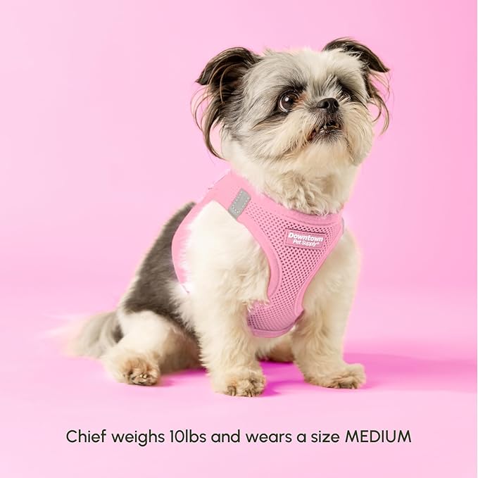Downtown Pet Supply Step in Dog Harness for Large Dogs - Adjustable, Escape Proof Dog Harness with Reflective Trim - All-Weather, Fast-Drying Padded Mesh Fabric - Baby Pink, L