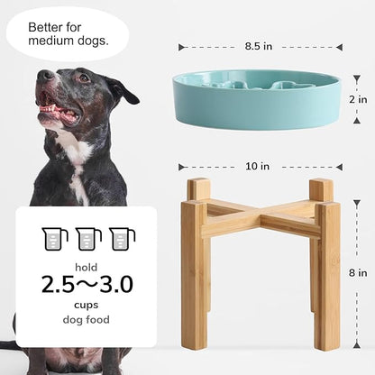 Slow Feeder,Ceramic-Slow Feeder Dog Bowls Elevated for Medium and Large Breed,2.5 Cups Slow Feed Dog Bowl with Stand,Turquoise