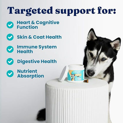 Solid Gold Dog Multivitamin - Soft Dog Vitamins & Supplements Chews - All-in-One Heart, Immune, Brain, Skin, Coat & Gut Health Support w/Vitamin C, B12, Probiotics & Antioxidants - Bacon Flavor 120ct