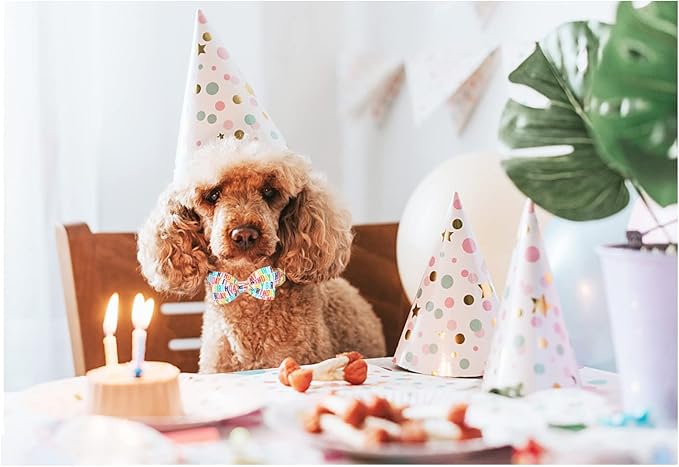 Unqiue Style Paws Birthday Dog Collar, Soft and Cute Dog Bow Tie, Durable Pet Collar with Bow Adjustable Bow Dog Collar for Medium Dogs